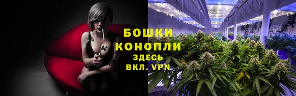 мескалин Елизово